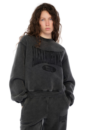 ALEXANDER WANG Світшот